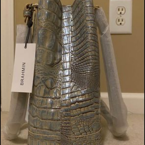 Brahmin - Picture 3 of 7